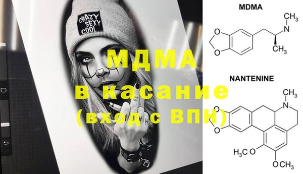 индика Абаза