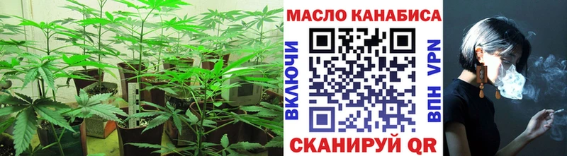 сколько стоит  Прохладный  ТГК Wax 