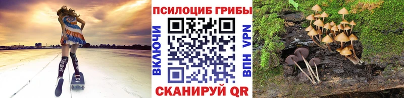 ссылка на мегу как войти  Прохладный  Галлюциногенные грибы Psilocybine cubensis 